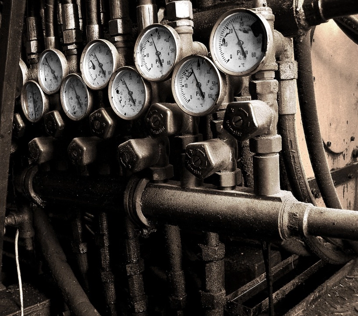 Фото: pixabay