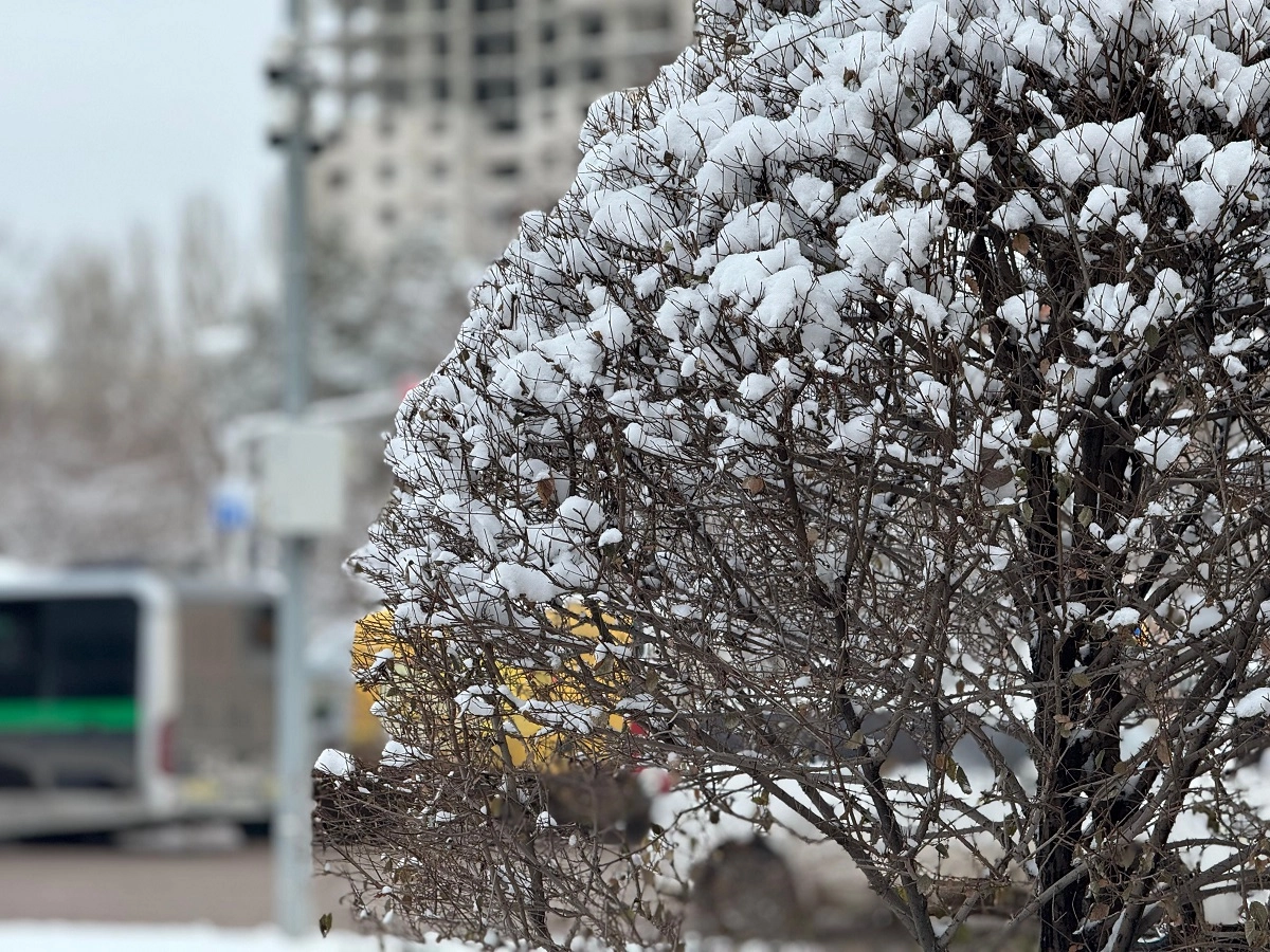 Фото: ИА «NewTimes.kz»