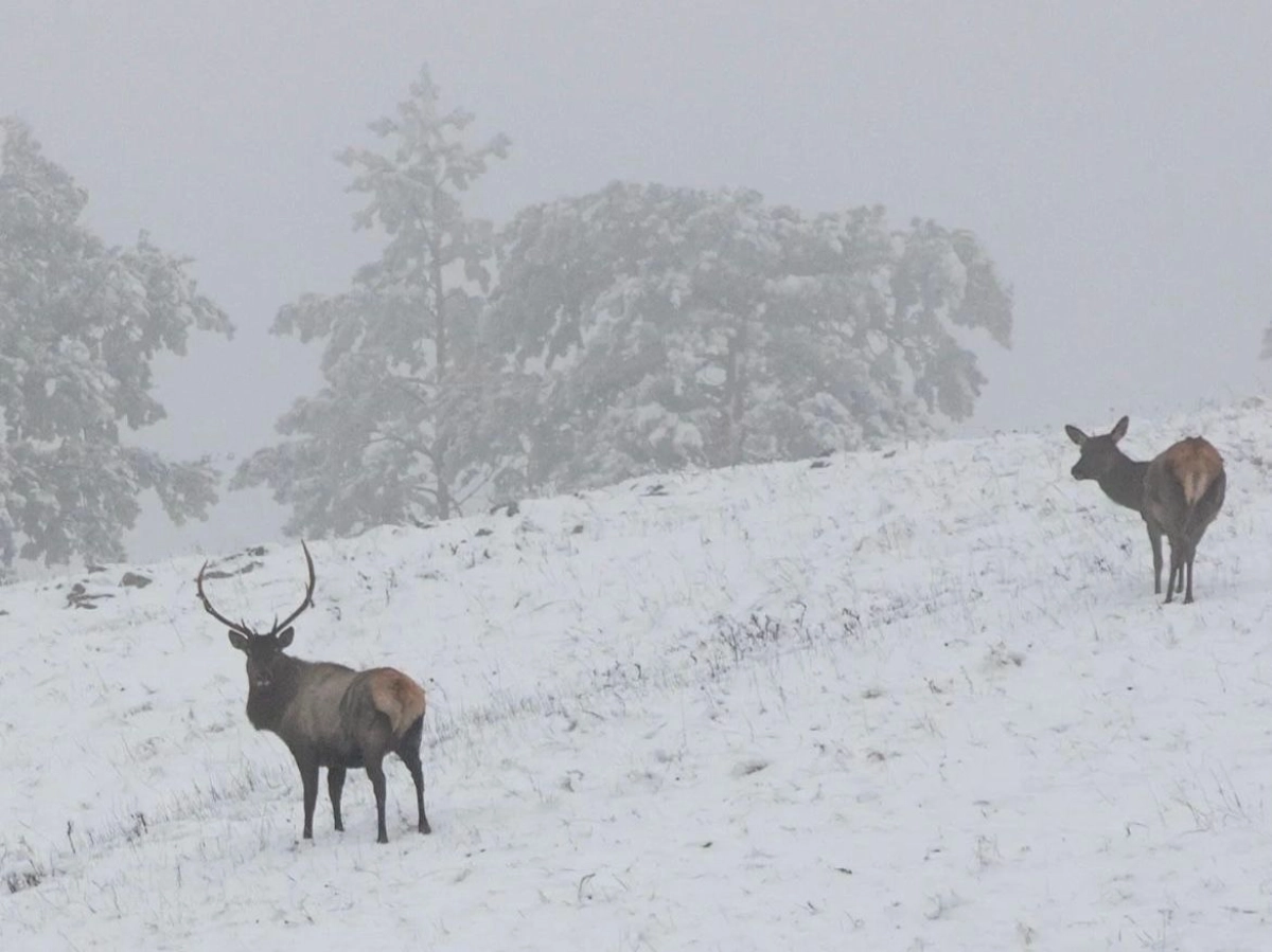 Фото: Instagram/xeniyagorlenko