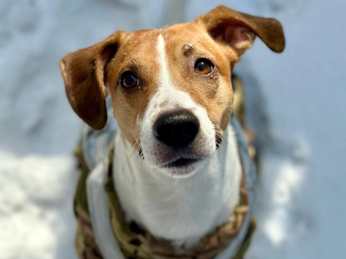 Фото: Instagram/papa_mailo