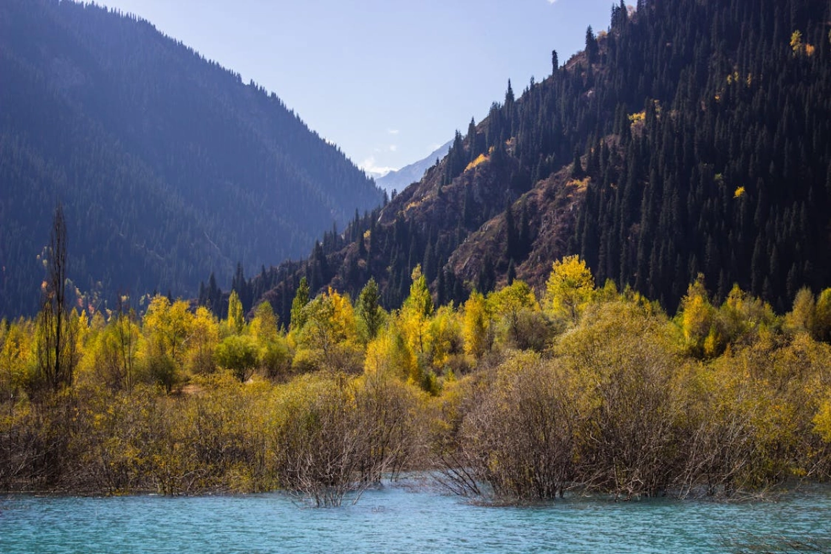 Фото: pexels/иллюстративное