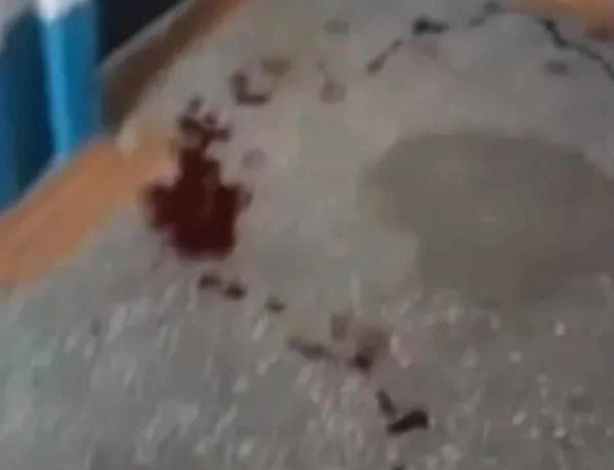 Кадр из видео