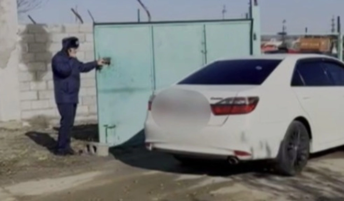 Фото: скриншот видео