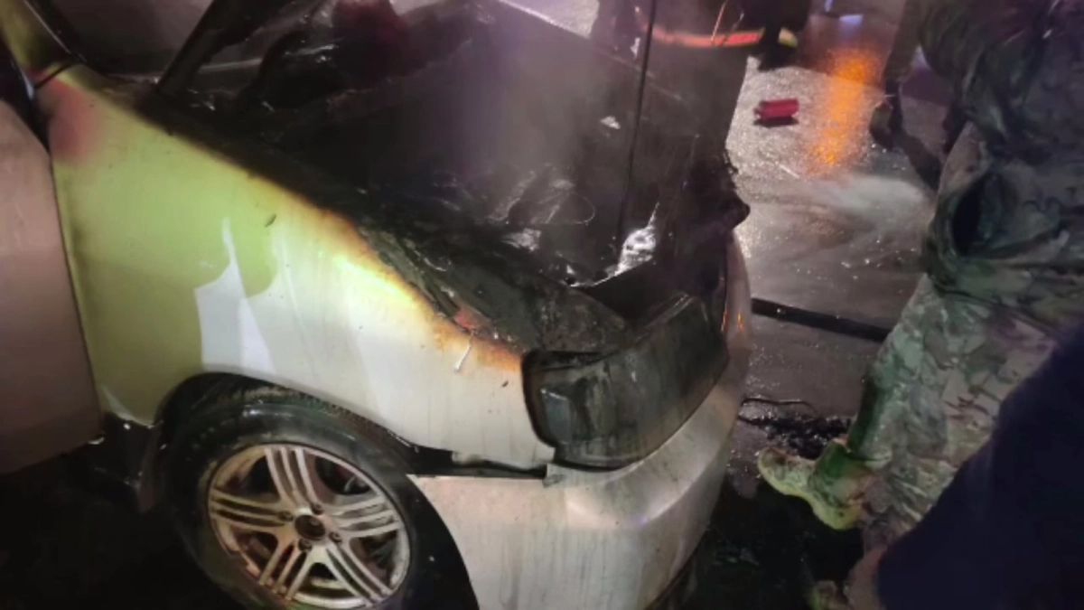 Фото: скриншот видео