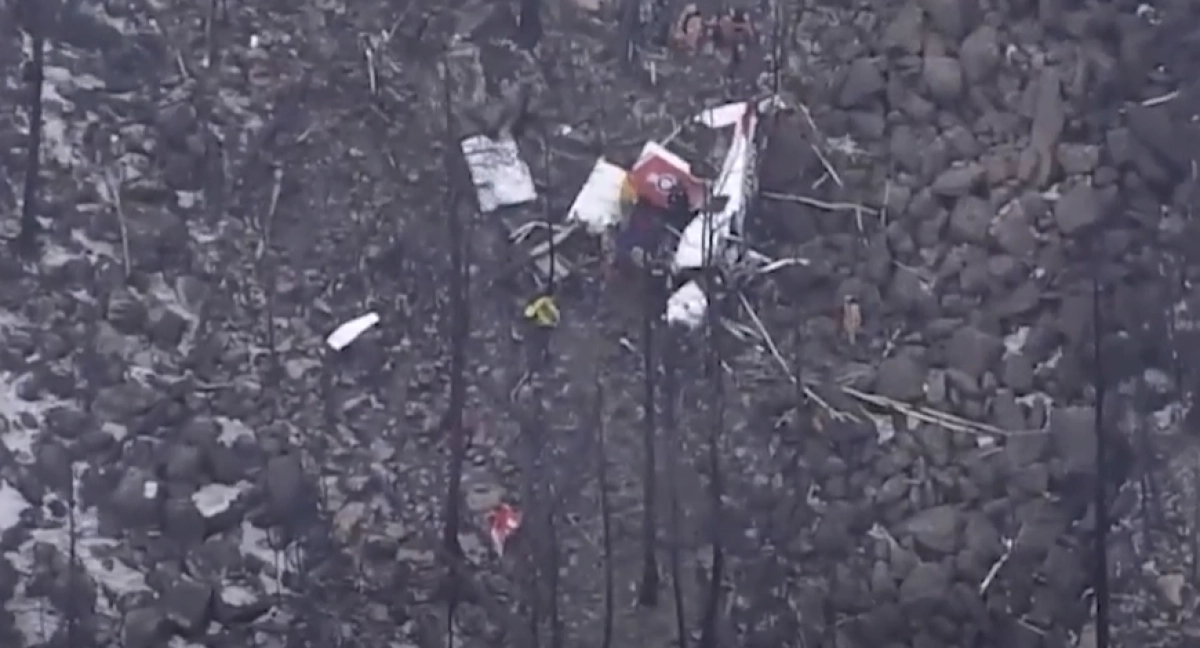 Фото: скриншот видео