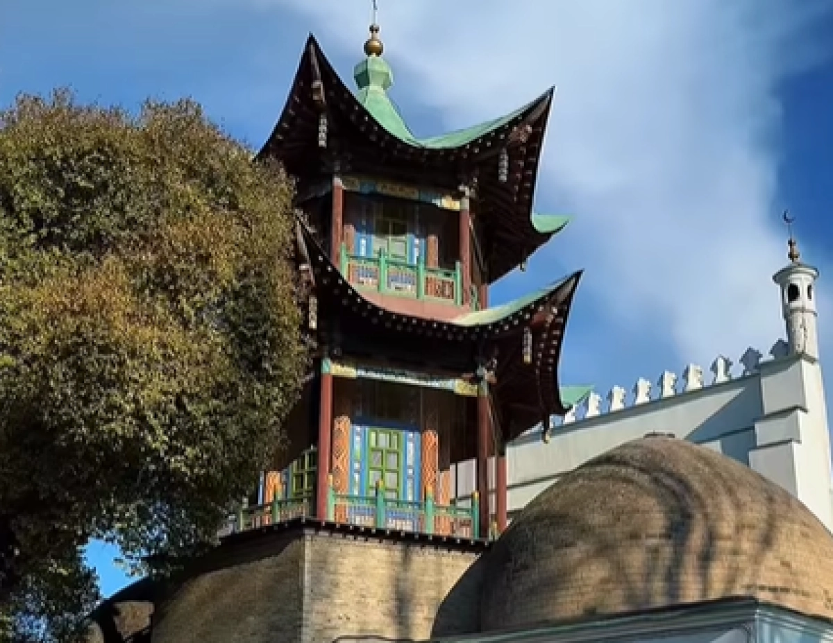 Кадр из видео