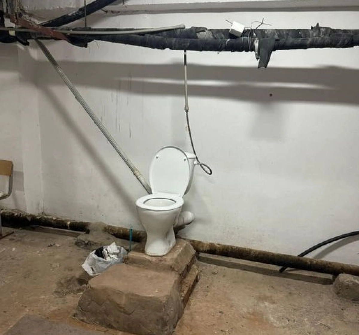 Фото: Алина Силкина