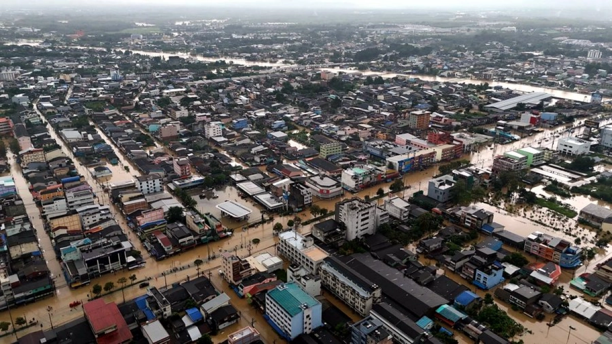 Фото: ThaiEnquirer