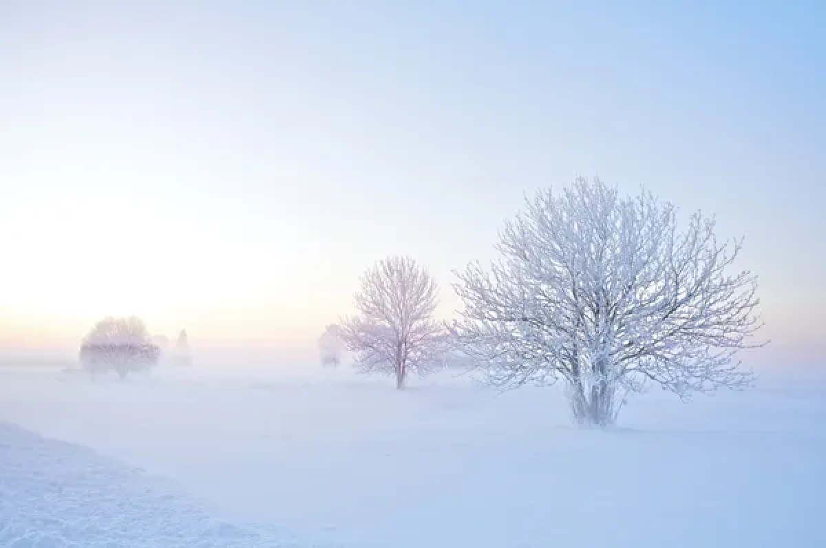 Фото: depositphotos