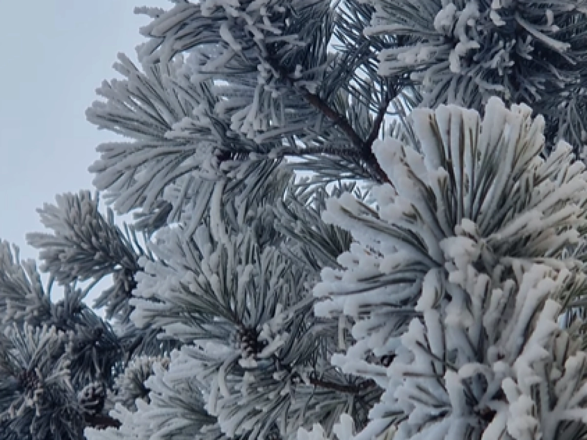 Кадр из видео