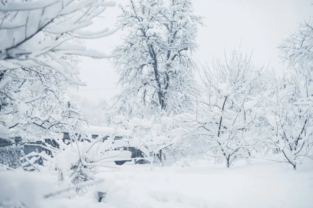 Фото: depositphotos