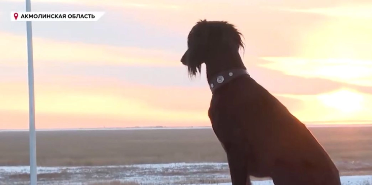 Скриншот с видео