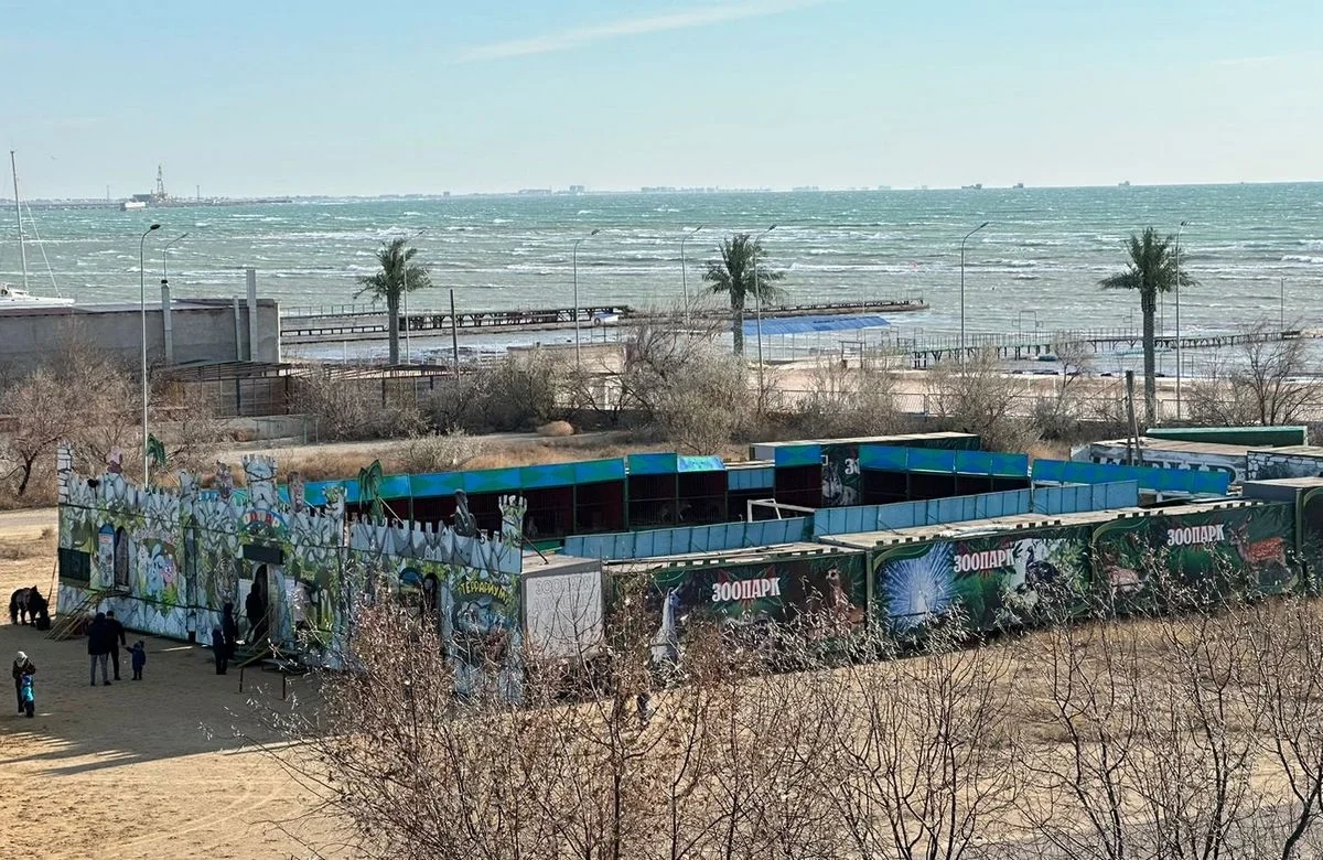 Фото: Сергей Кораблев