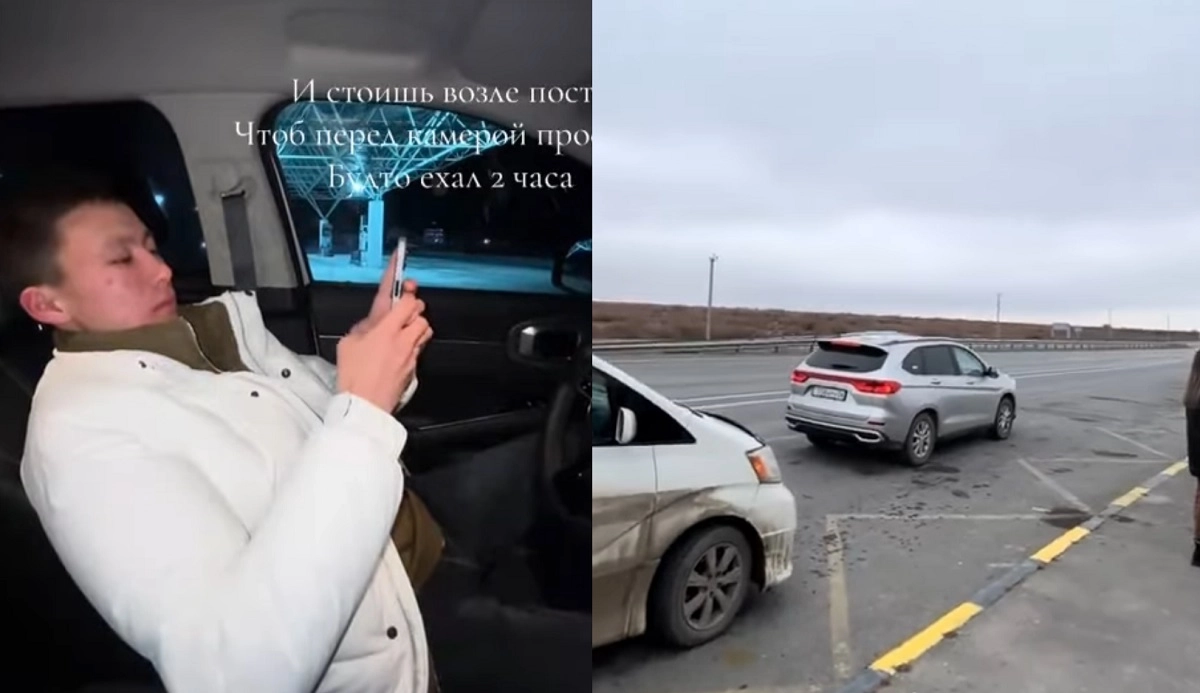 Коллаж NT