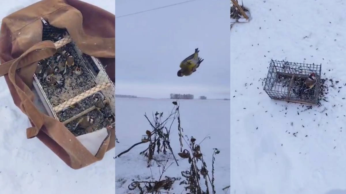 Фото: МВД РК