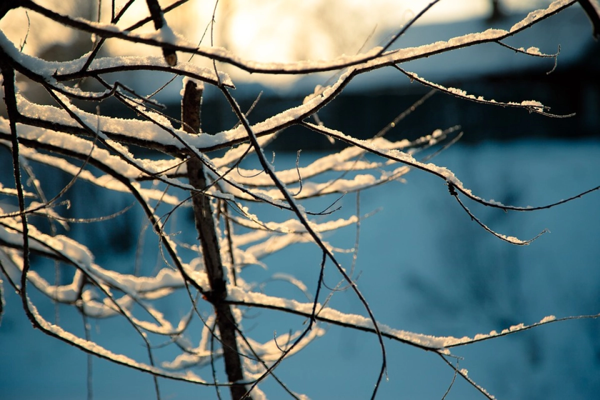 Фото: pixabay.com