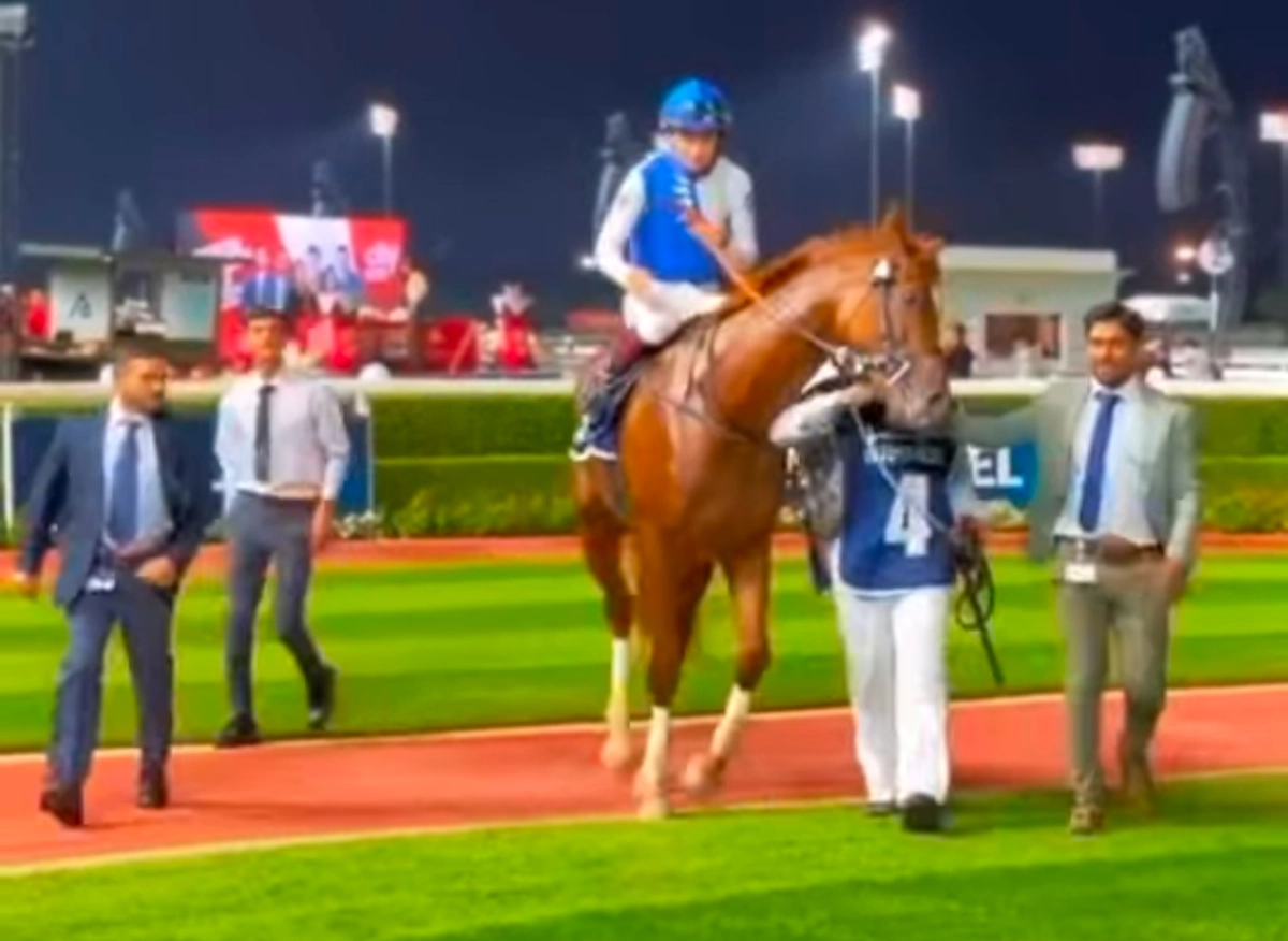 Фото: кадр из видео