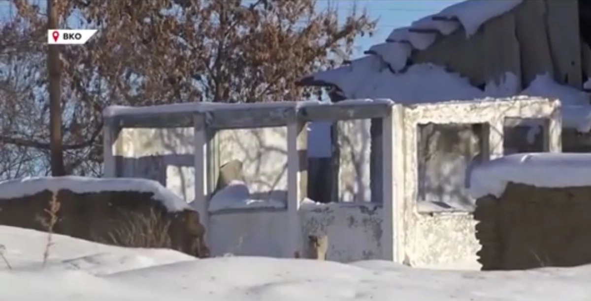 Скриншот с видео