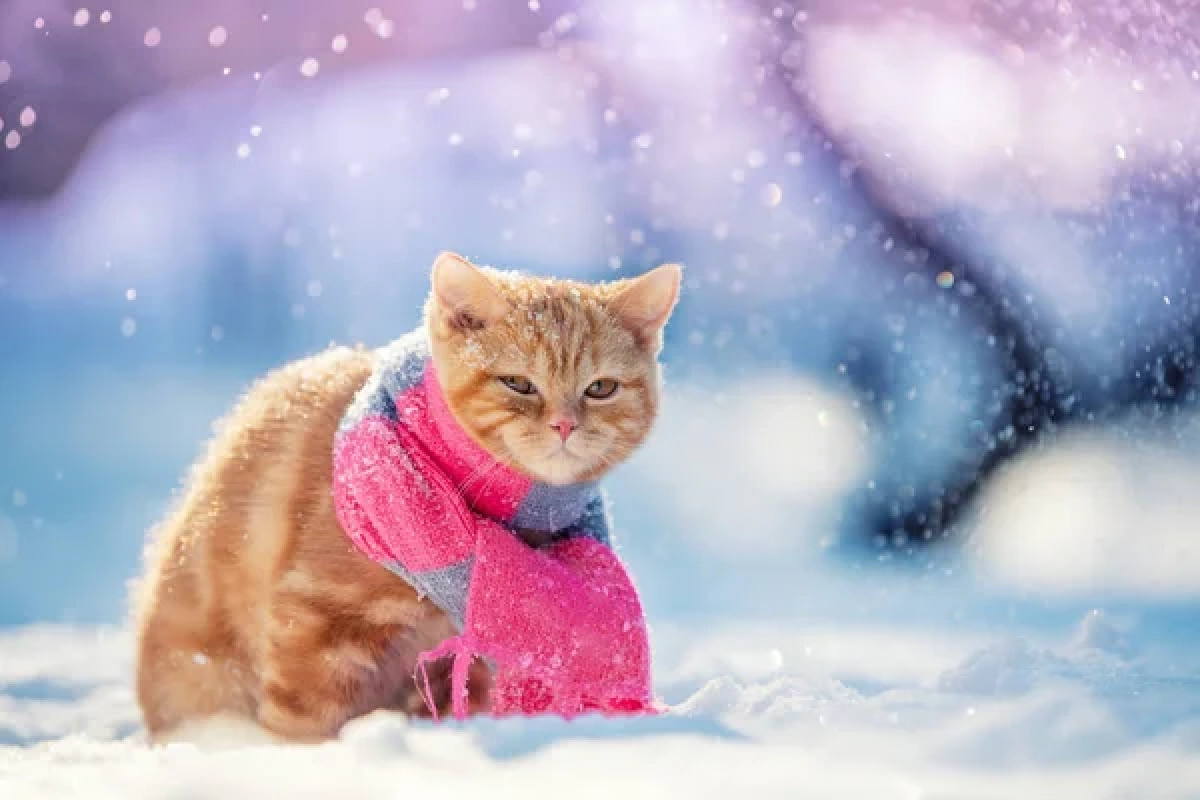 Фото: depositphotos