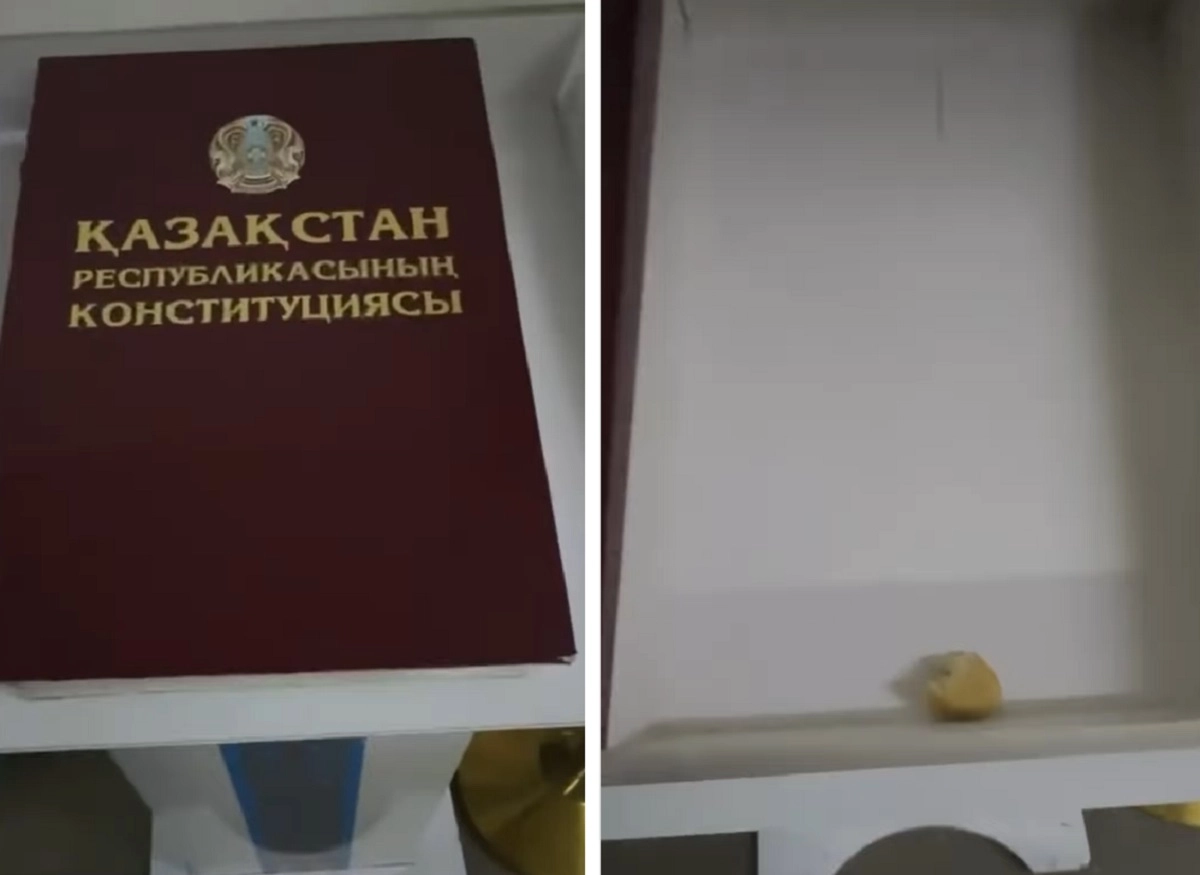Коллаж NT