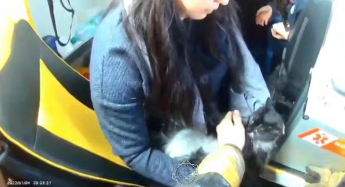 Скриншот с видео МЧС РК