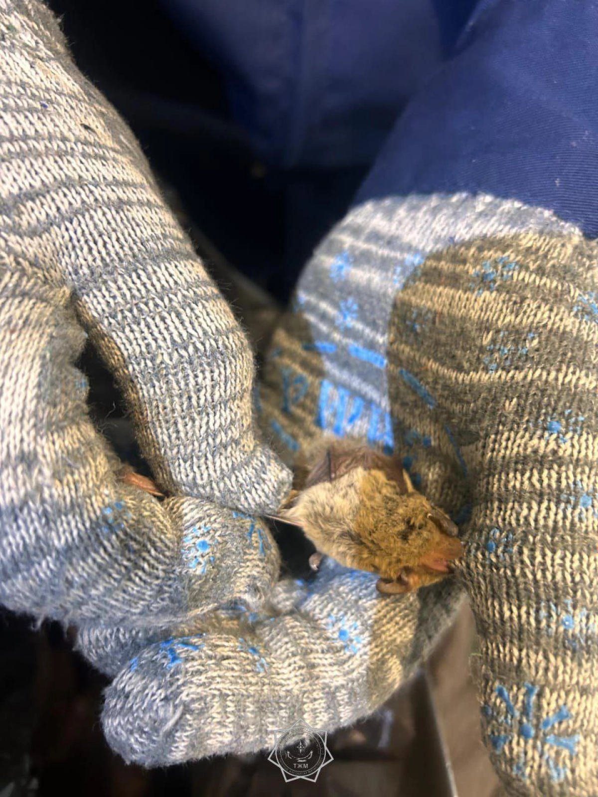 Фото: пресс-служба МЧС РК