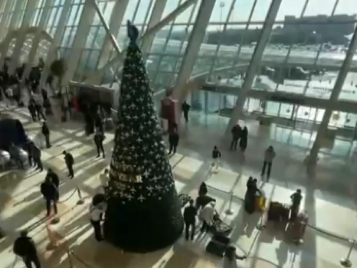 Фото: кадр из видео