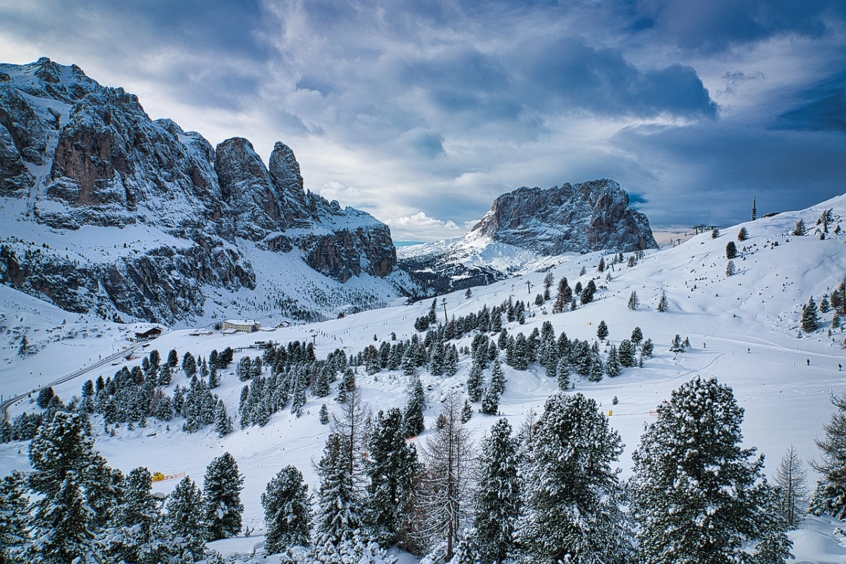 Фото: pixabay
