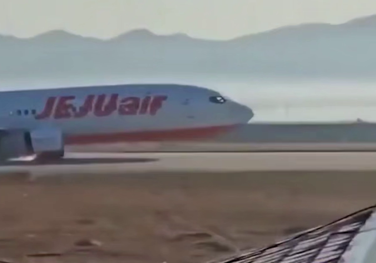 Кадр из видео/ SHOT