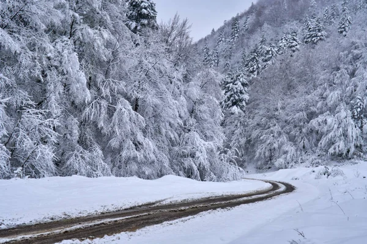 Фото: depositphotos