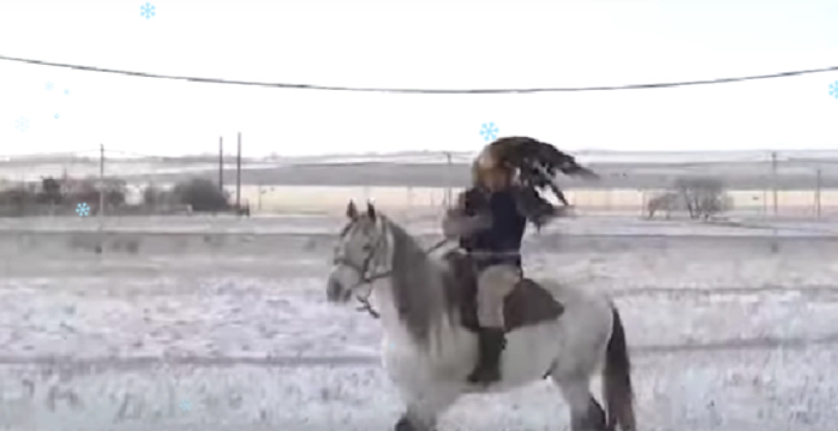 Фото: кадр из видео