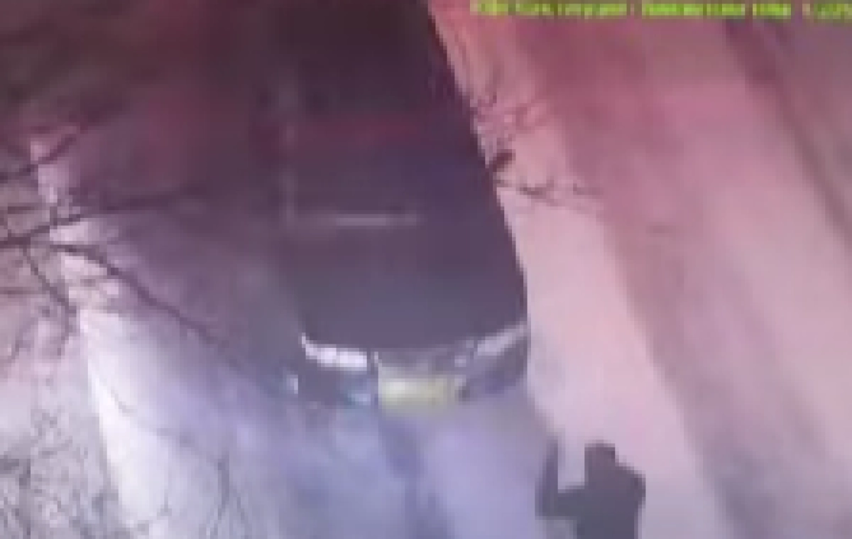 Фото: кадр из видео