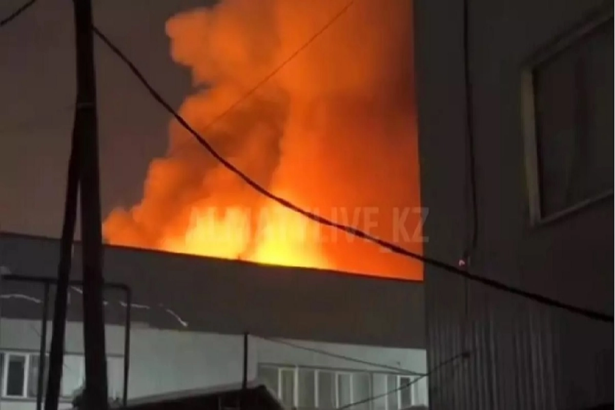 Фото: скриншот видео