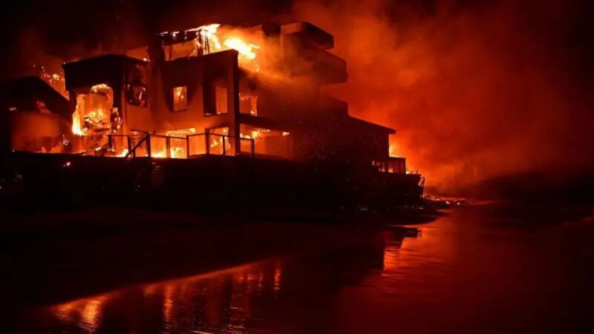 Фото: getty Images