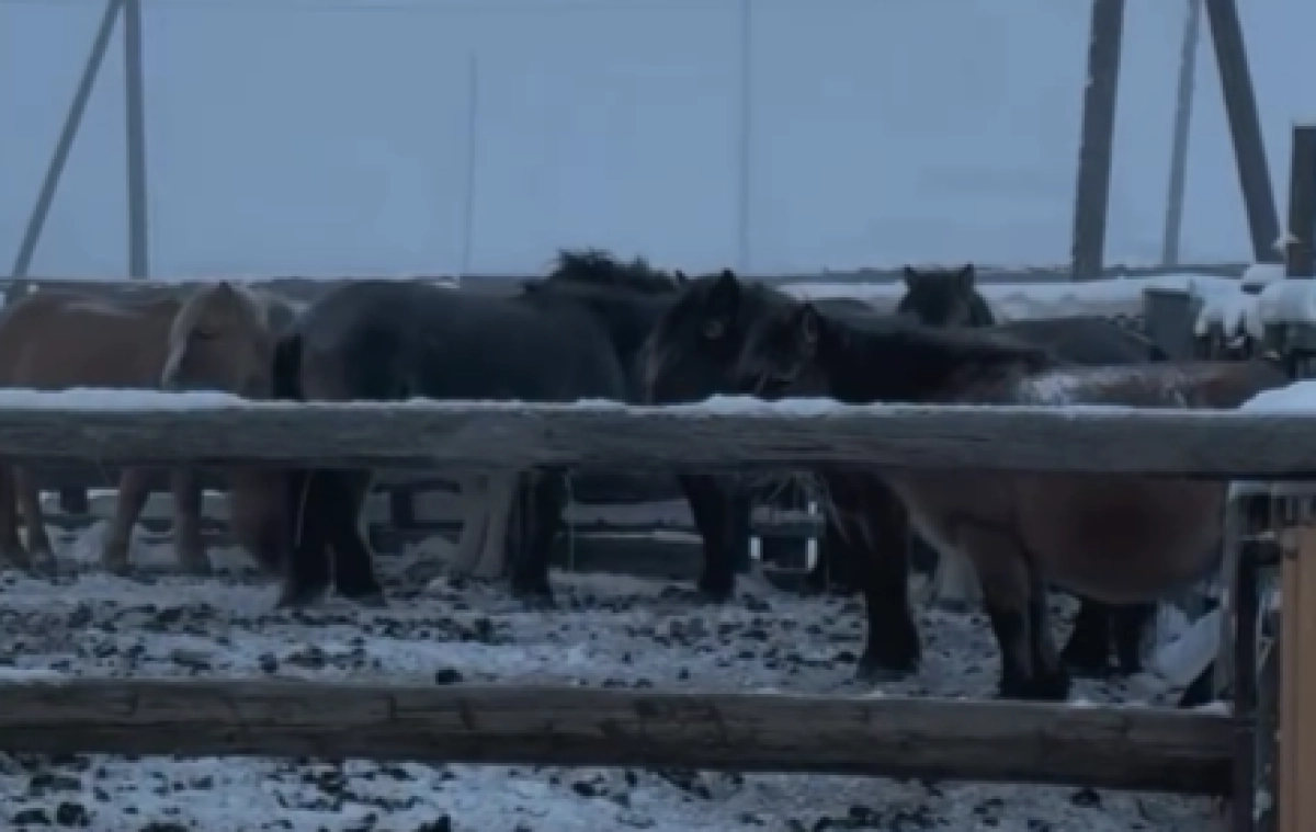 Фото: кадр из видео