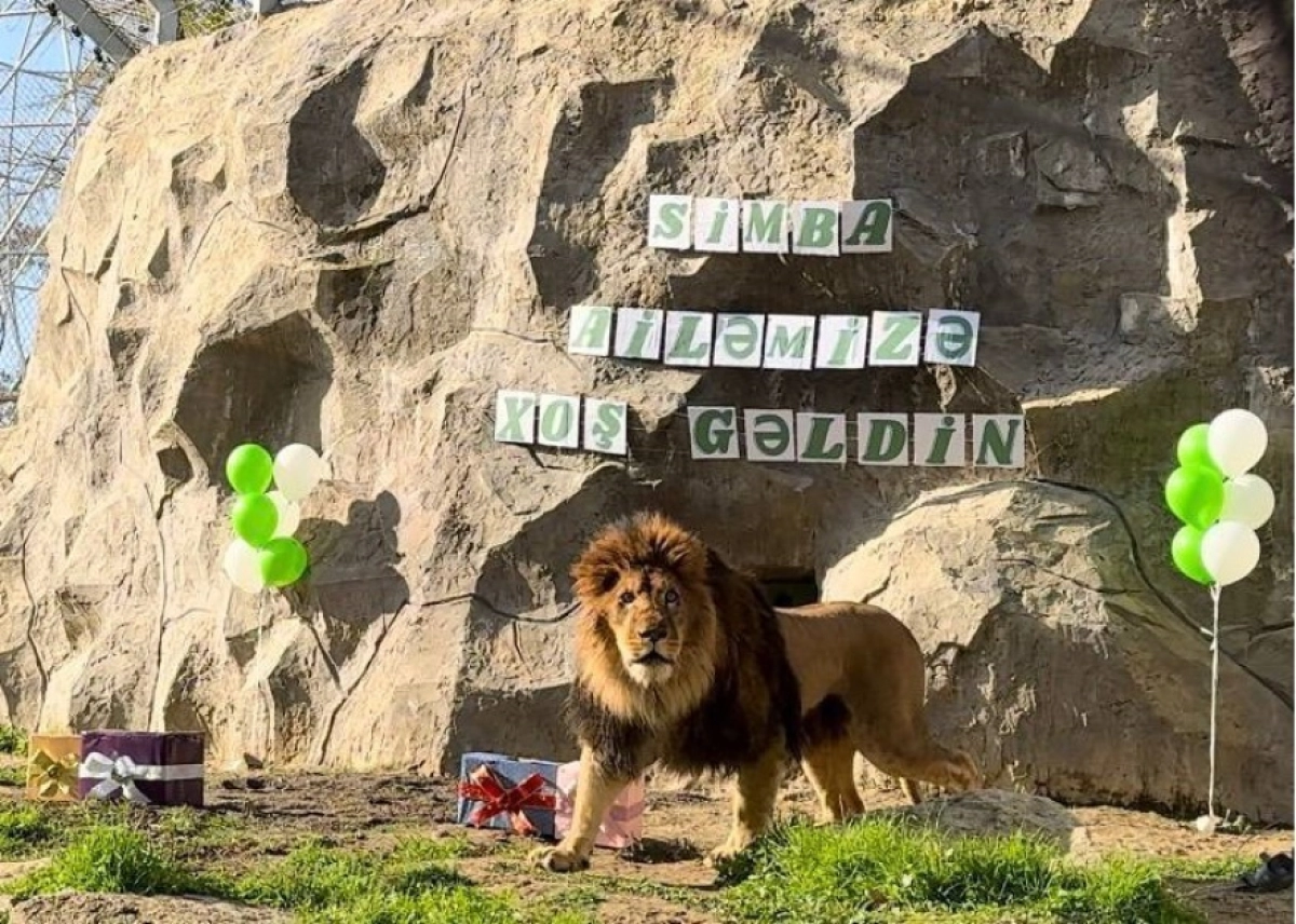 Фото: azertag.az