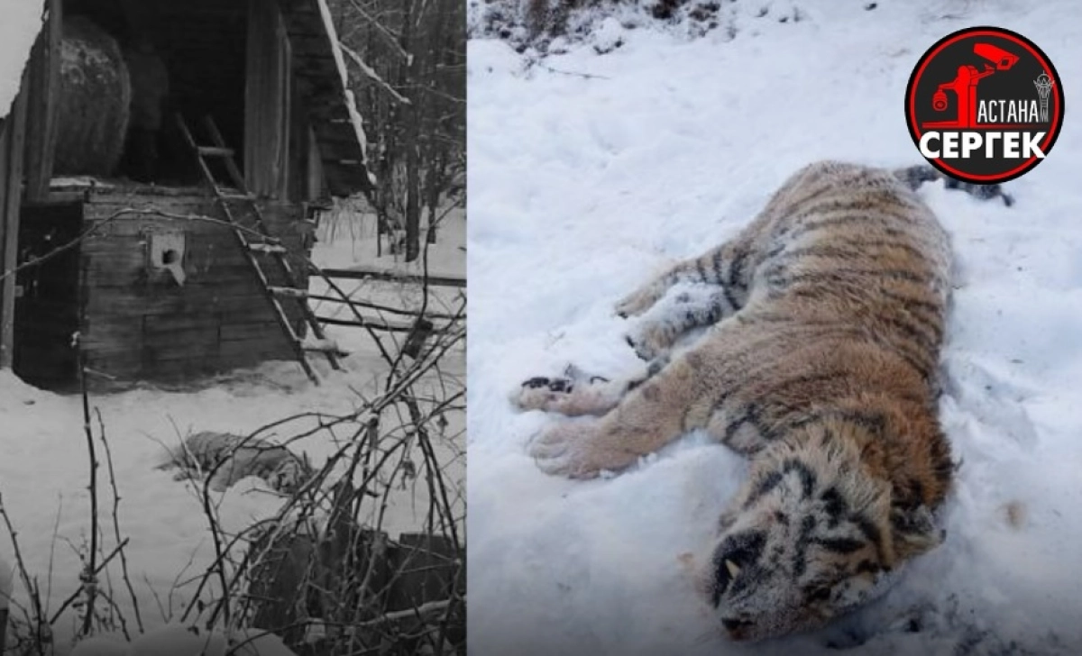 Фото: кадр из видео