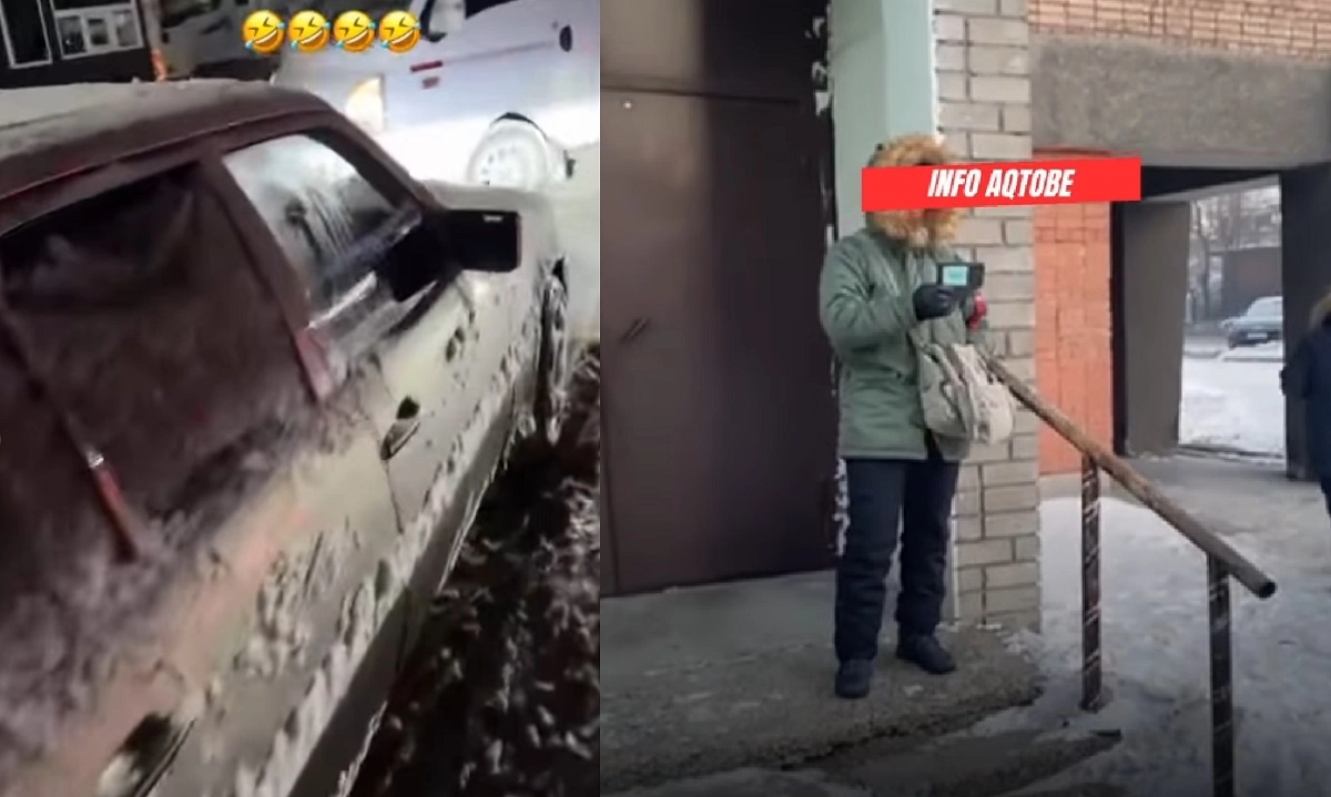 Коллаж NT