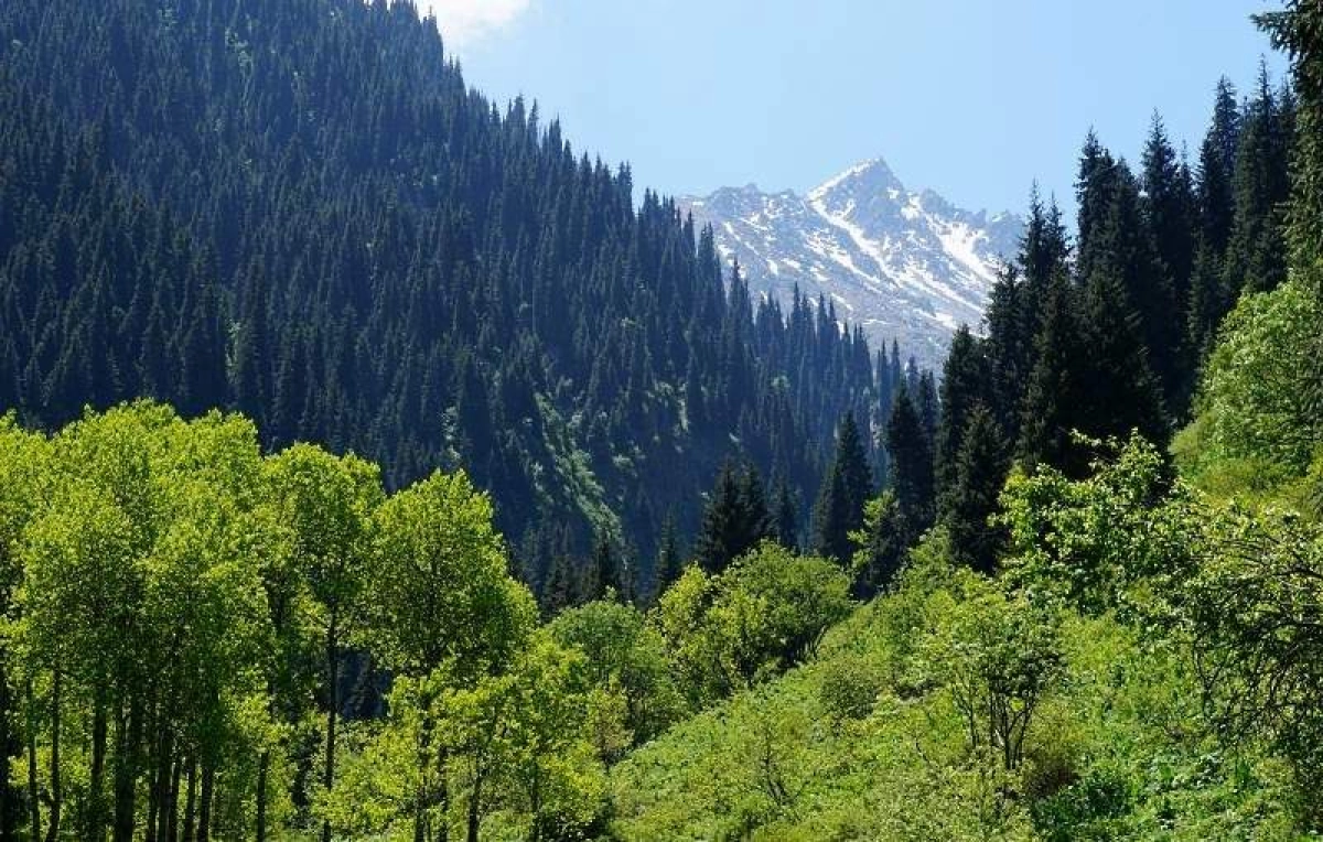 Фото: x-travels.ru