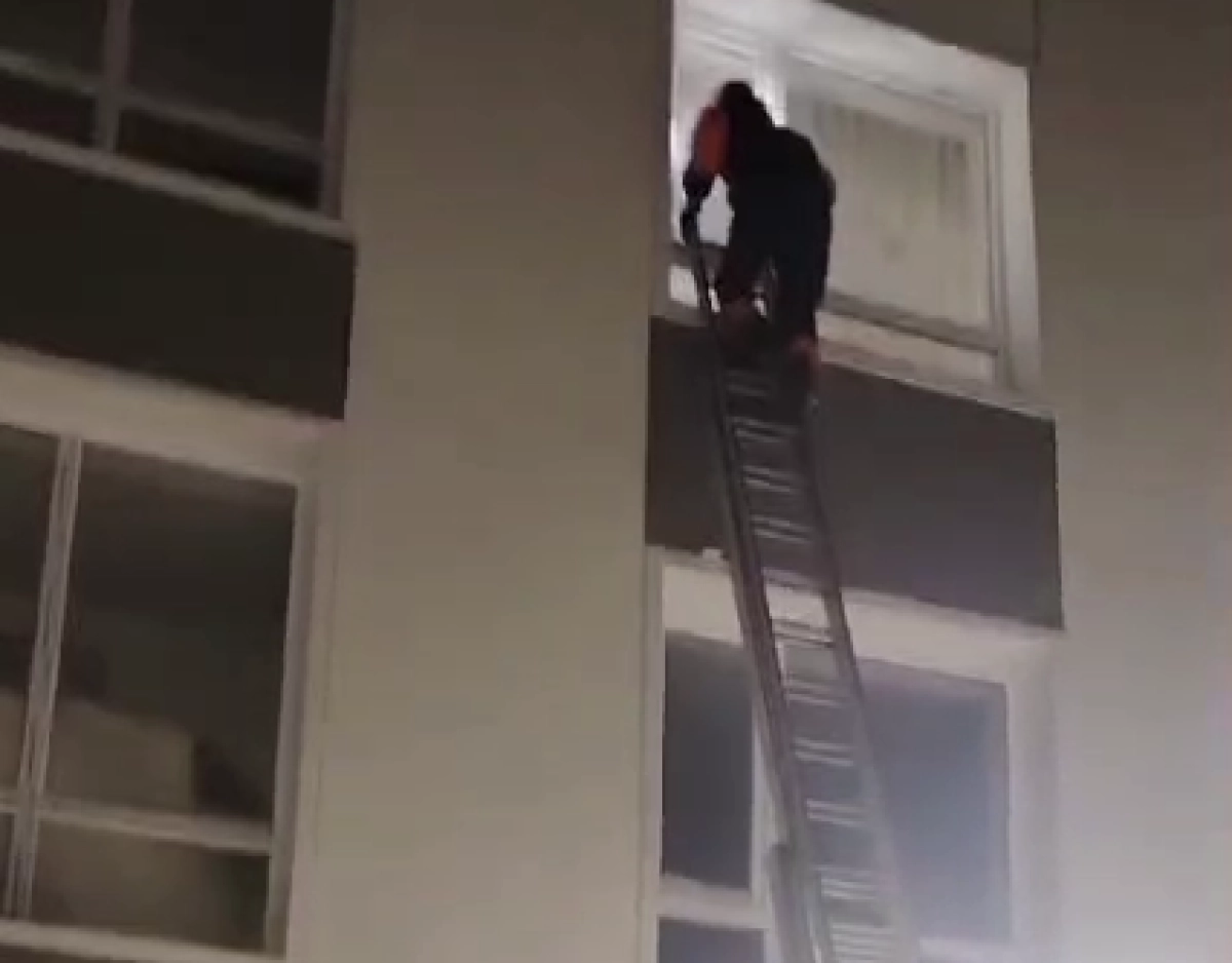 Кадр из видео