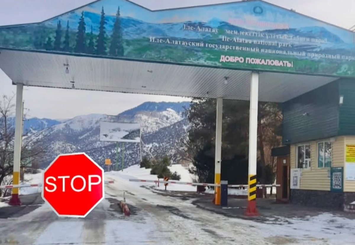 Фото: Instagram/@ile_alatau_nationalpark