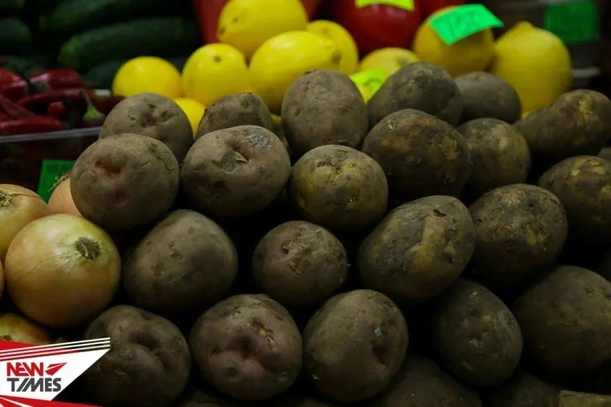 Фото: ИА «NewTimes.kz»