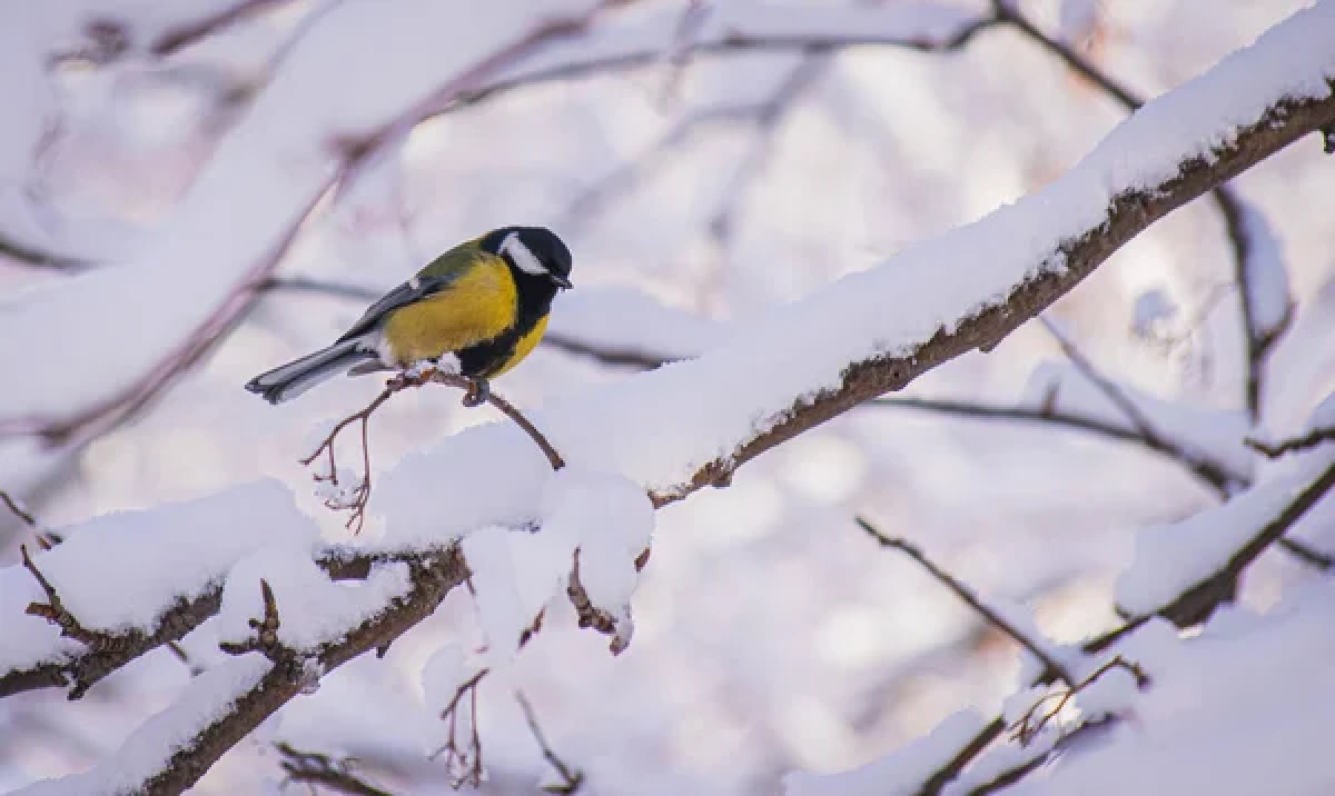 Фото: depositphotos.com