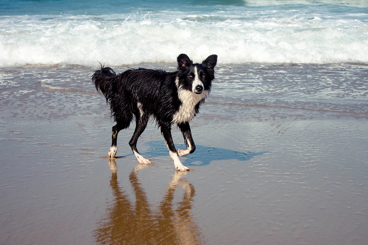 Фото: ID-VIDEO / Shutterstock / FOTODOM