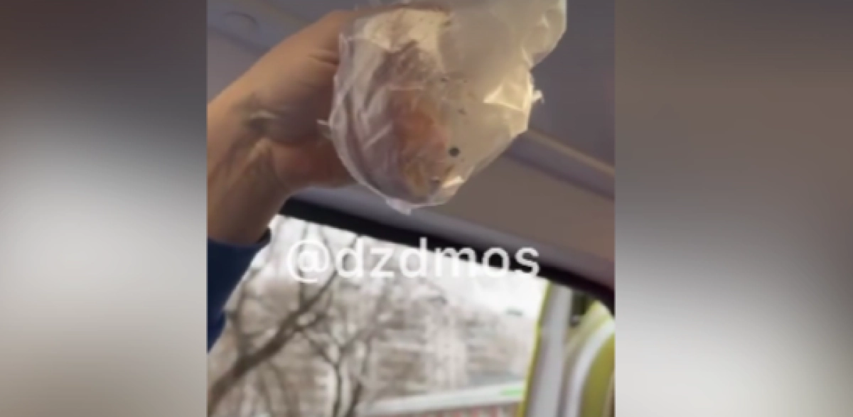 Фото: кадр из видео