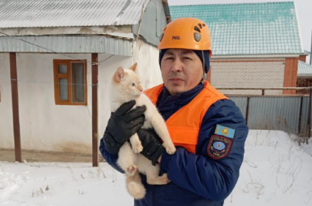 Фото: пресс-служба МЧС РК