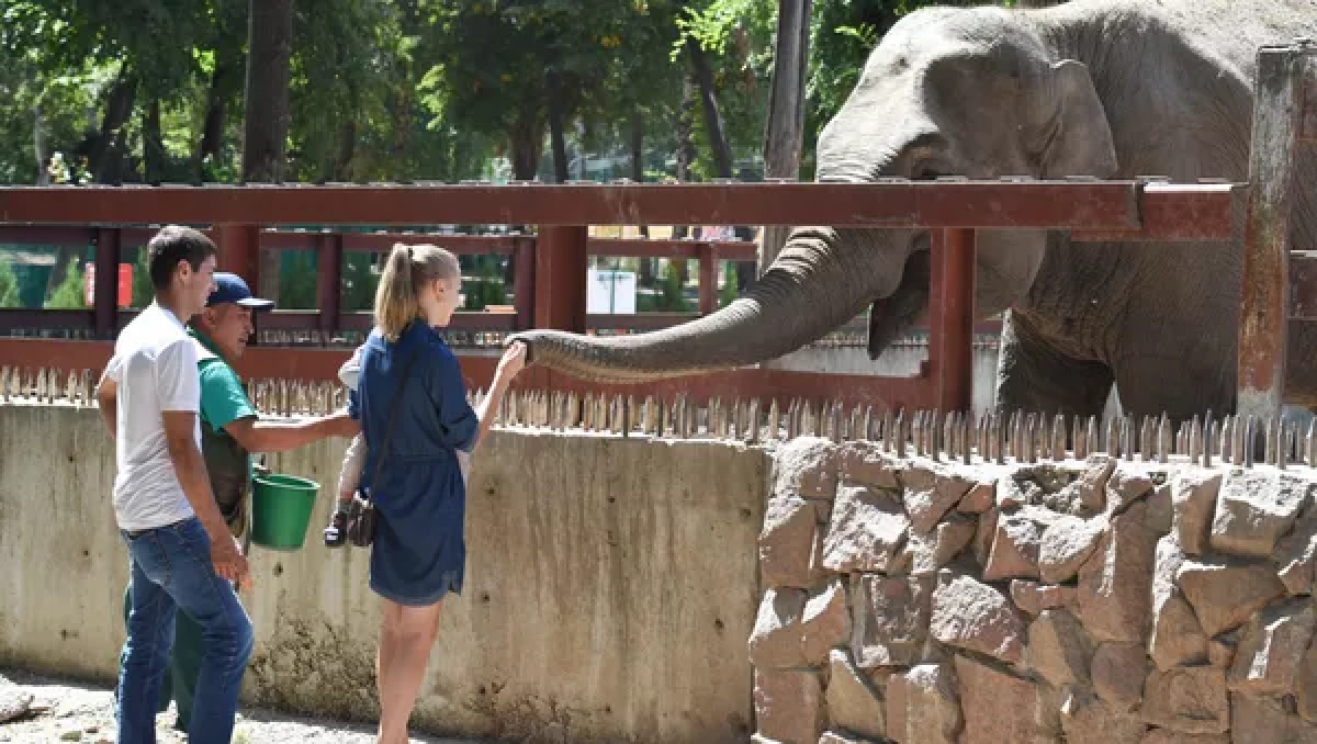 Фото: Sputnik / Серикжан Ковланбаев