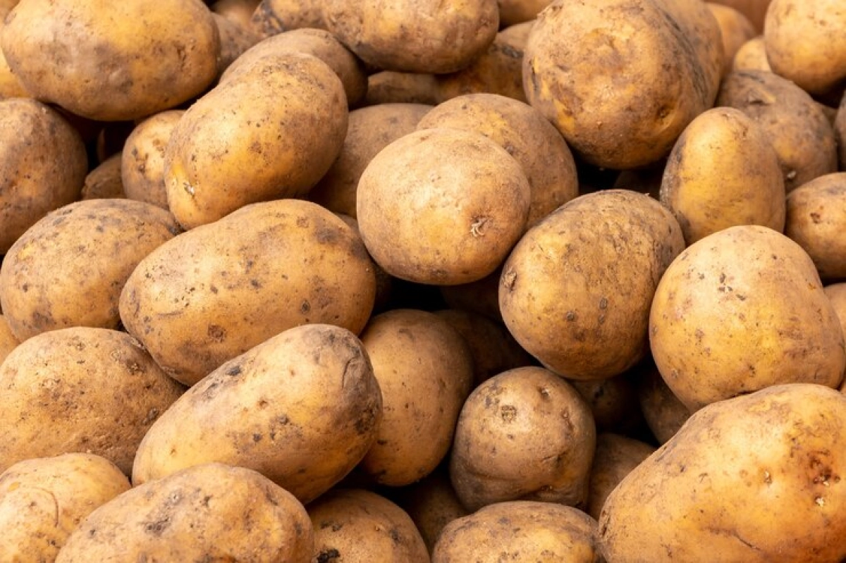 Фото: freepik.com