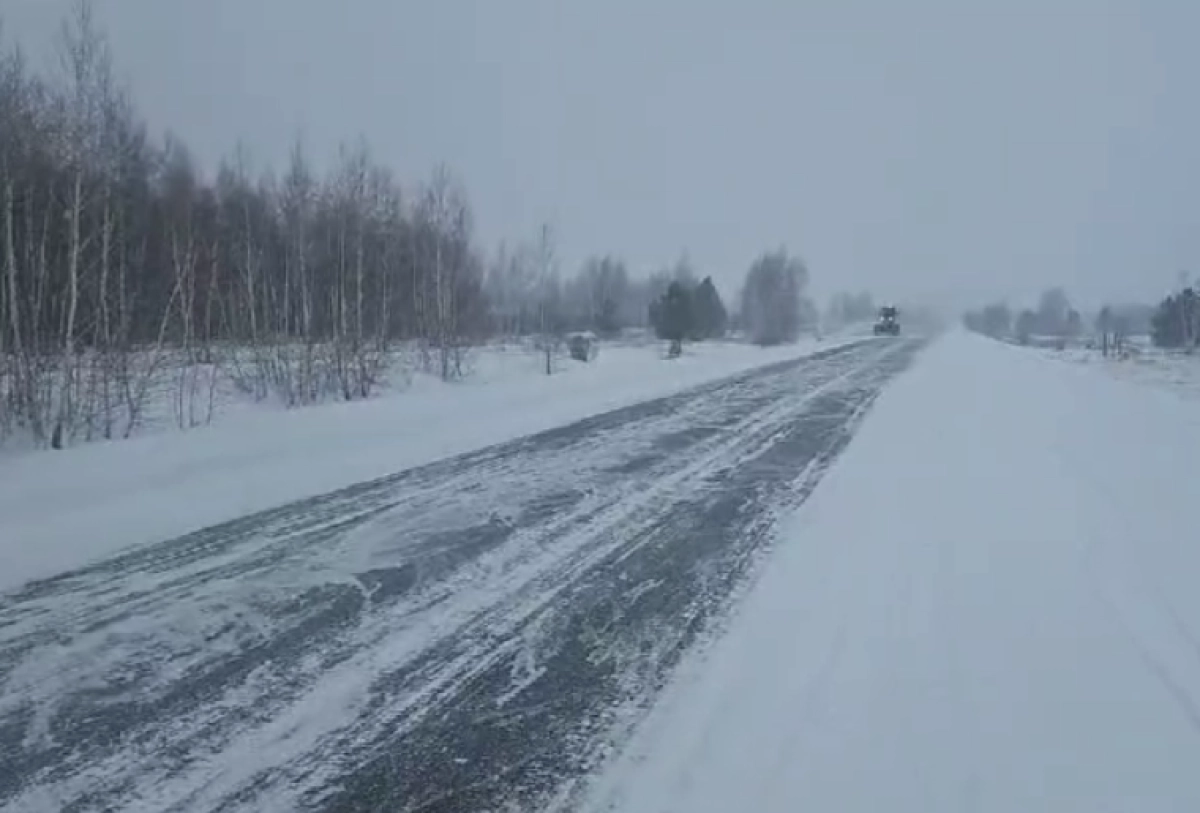 Кадр из видео/ МЧС РК