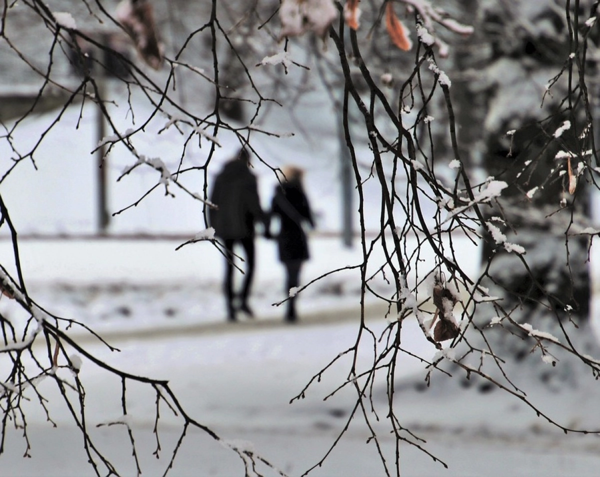 Фото: pixabay.com